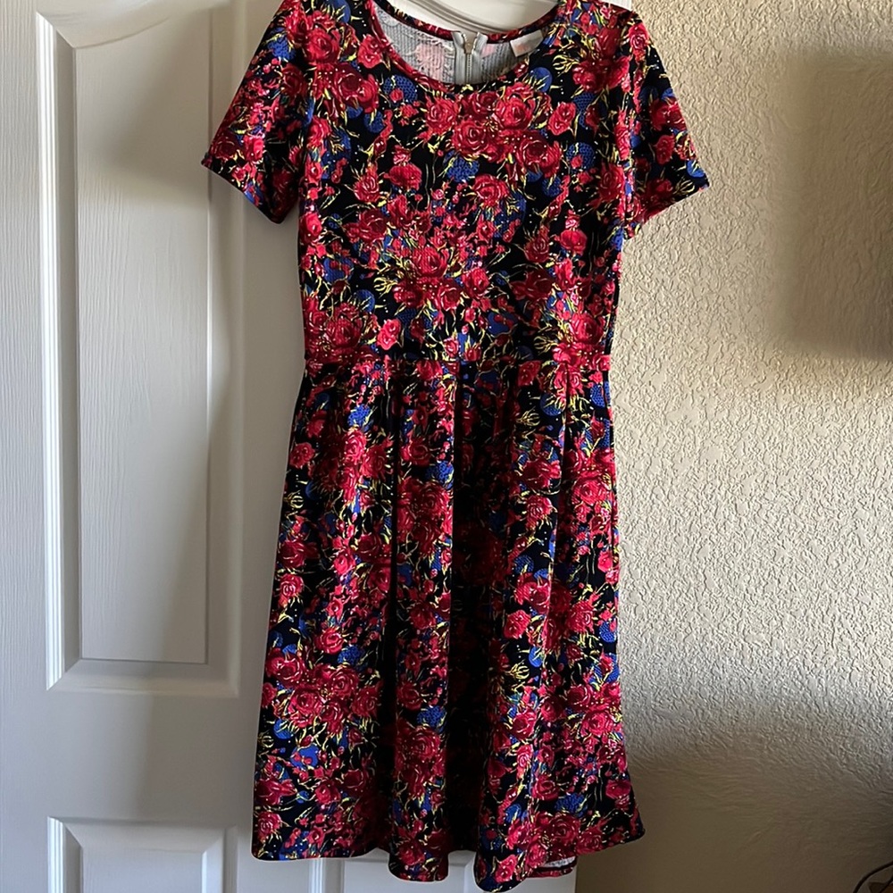 Lularoe Amelia Large